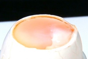 卵ハンマー